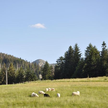 Apartamenty Jszi Zakopane Kültér fotó