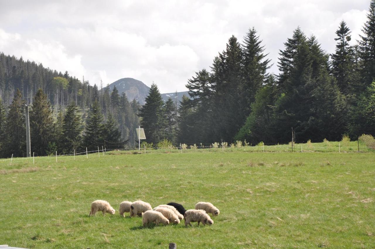Apartamenty Jszi Zakopane Kültér fotó