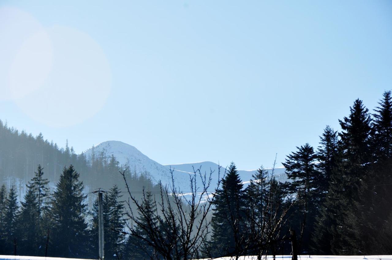 Apartamenty Jszi Zakopane Kültér fotó