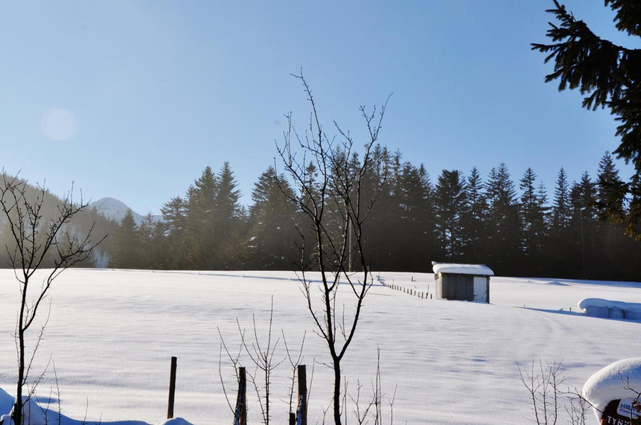 Apartamenty Jszi Zakopane Kültér fotó