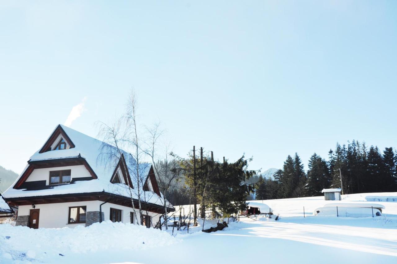 Apartamenty Jszi Zakopane Kültér fotó